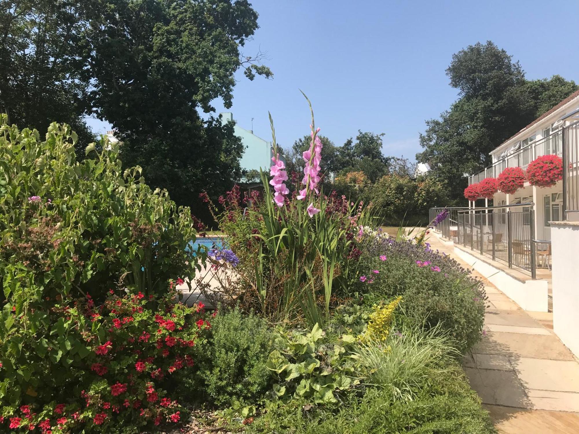Saint Peter Port Ilex Lodge מראה חיצוני תמונה